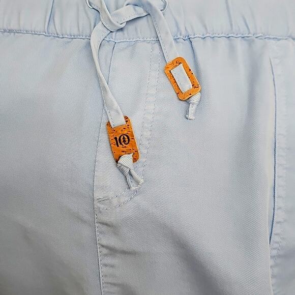 Tentree Womens 100% Tencel (Lyocell) 4 Pocket Glacier Blue Shorts Size L (NWT) - Picture 3 of 9